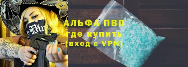 индика Россошь
