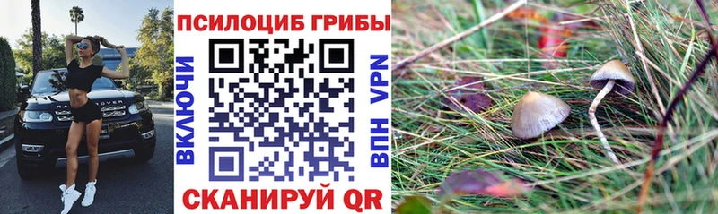 omg ТОР  Козловка  Галлюциногенные грибы мухоморы  закладки 